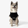 Shinola Brand Logo Knitted Pet Sweater