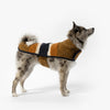 Shinola Brand Stripe Berber Dog Coat Rust
