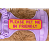 Please Pet Me Patch
