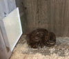 Sweeter Heater Coop & Brooder Heater (4 sizes)
