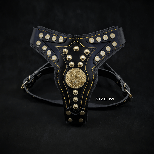 The Maximus harness V2