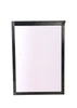 Size 12: 12x12x18 All-In-One Essential Baby Chameleon Kit