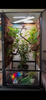 Size 24: 24x24x48 Deluxe All-In-One WIFI Controlled Automated Chameleon kit
