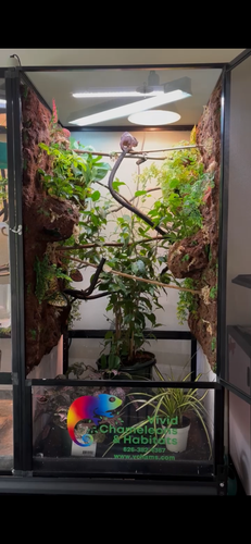 Size 24: 24x24x48 Deluxe All-In-One WIFI Controlled Automated Chameleon kit