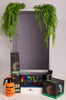 Size 18: 18x18x36 Essential Chameleon Kit