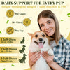 Skin & Coat Bites for Dogs – Shine, Strength & Allergy Relief