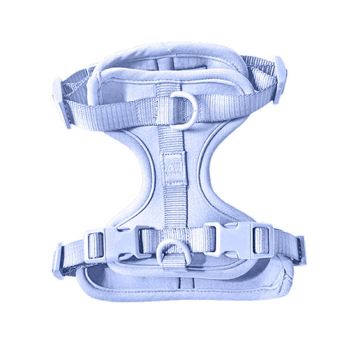Harness