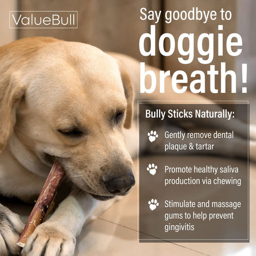 ValueBull Bully Sticks for Small Dogs, Thin 6 Inch, 100 Count Bulk Pack