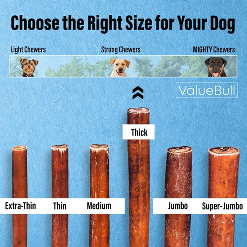 ValueBull Bully Sticks for Dogs, Thick 6 Inch, 100 Count Bulk Pack