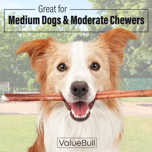 ValueBull Bully Sticks for Dogs, Medium 12 Inch, 200 Count Bulk Pack