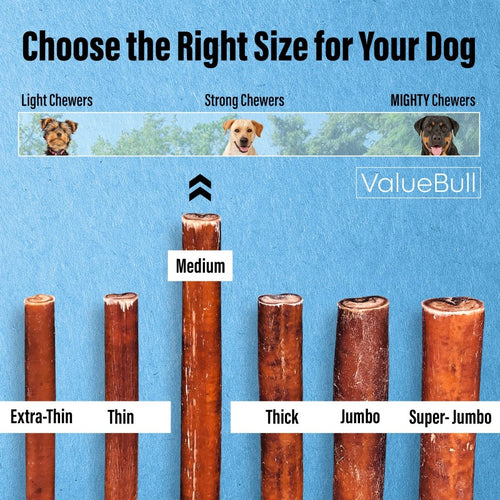 ValueBull Bully Sticks for Dogs, Medium 12 Inch, 200 Count Bulk Pack