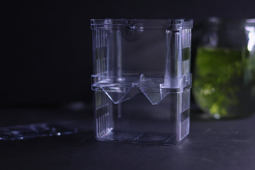 Guppy Breeder Box (Small)