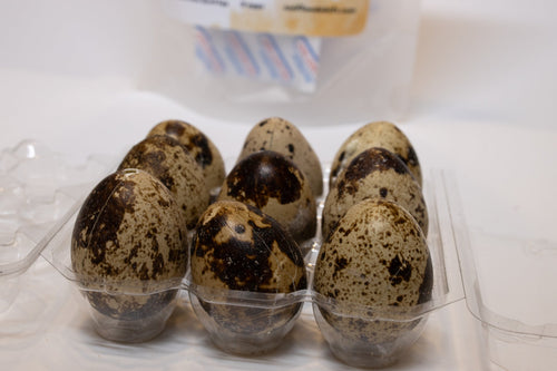 Freeze-Dried Raw Quail Eggs for Dogs & Cats: Whole Egg, Bulk Sizes