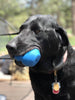 Double Trouble Durable Rubber Chew Toy and Treat Dispenser