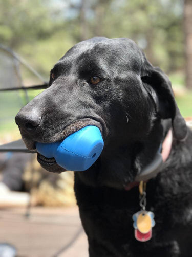 Double Trouble Durable Rubber Chew Toy and Treat Dispenser
