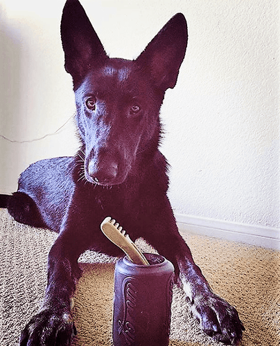 SP Magnum Can Toy eDispenser Ultra Durable Rubber Chew Toy & Treat Dispenser - Power Chewers