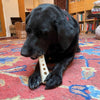 MOD Bone Nylon Dog Chew Toy for Aggressive Chewers | USA Made