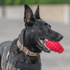 Grenade Shaped eDispenser Durable Dog Chew Toy & Treat Dispenser - Red & Blue