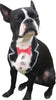 Critter Color - Temporary Pet Fur Coloring/Dog Dye