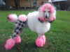 Critter Color - Temporary Pet Fur Coloring/Dog Dye