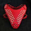 Star harness