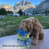 Steakhouse Beef & Zucchini Air-Dried Dog Food