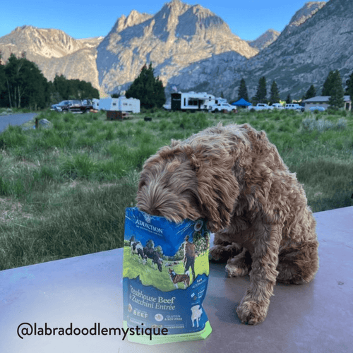 Steakhouse Beef & Zucchini Air-Dried Dog Food