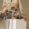 SoHo Dog Harness - Steel