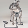 SoHo Dog Harness - Steel