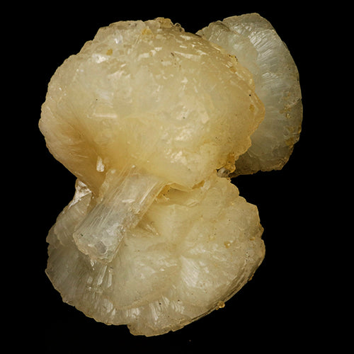 Stellerite Bow Natural Mineral Specimen # B 5897