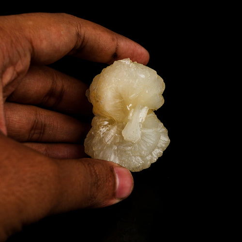 Stellerite Bow Natural Mineral Specimen # B 5897