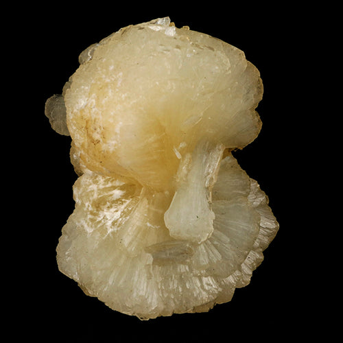 Stellerite Bow Natural Mineral Specimen # B 5897