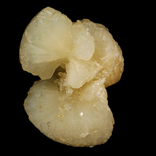 Stellerite Bow Natural Mineral Specimen # B 5897