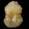 Stellerite Bow Natural Mineral Specimen # B 5897