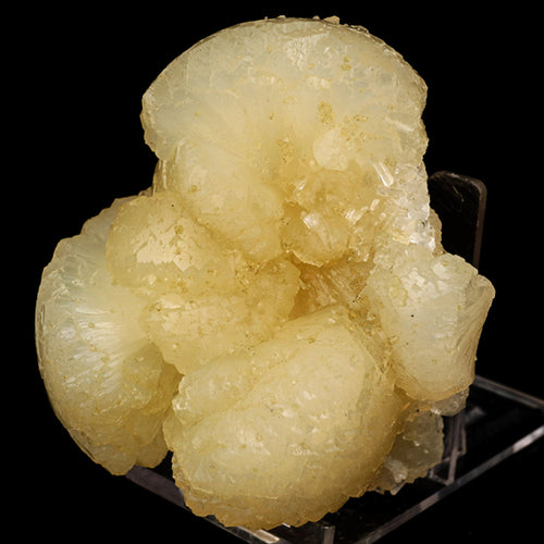 Stellerite Bow Natural Mineral Specimen # B 5905