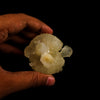 Stellerite Bow Natural Mineral Specimen # B 5955