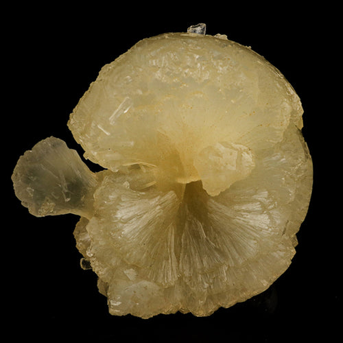 Stellerite Bow Natural Mineral Specimen # B 5955