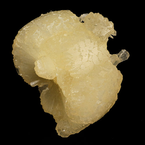 Stellerite Bow Natural Mineral Specimen # B 5955