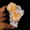 Stilbite Bow Free Standing Natural Mineral Specimen # B 7006