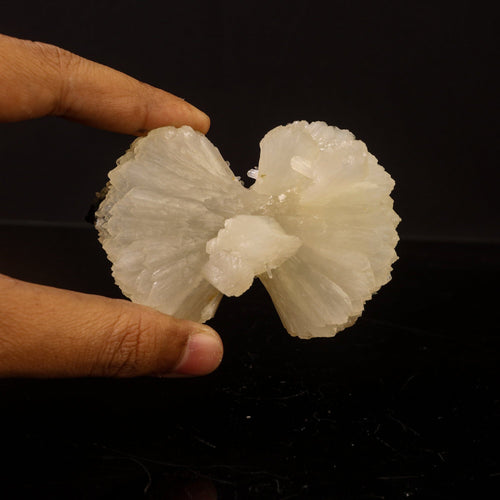 Stilbite Bow Natural Mineral Specimen # B 6750