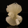 Stilbite Bow Natural Mineral Specimen # B 6750