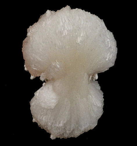 Stilbite 'Bow-Tie' Natural Mineral Specimen # B 6559