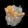 Stilbite 'Bow-Tie' on Apophyllite Natural Mineral Specimen # B 6471