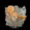 Stilbite 'Bow-Tie' on Apophyllite Natural Mineral Specimen # B 6471