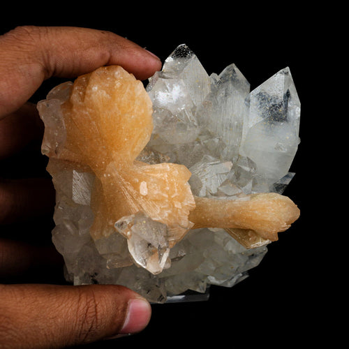 Stilbite 'Bow-Tie' on Apophyllite Natural Mineral Specimen # B 6471