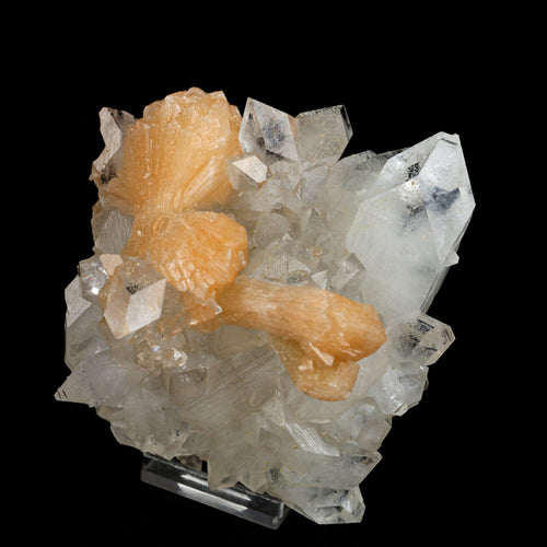 Stilbite 'Bow-Tie' on Apophyllite Natural Mineral Specimen # B 6471