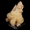 Stilbite 'Bow-Tie' on Heulandite Natural Mineral Specimen # B 6337
