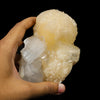 Stilbite bow with Apophyllite Natural Mineral Specimen #TC24-26