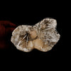 Stilbite Crystals with Scolecite on Heulandite Natural Mineral Specimen  # B 5262