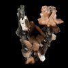 Stilbite on Chalcedony Coral Formation Natural Mineral Specimen  # B 5145